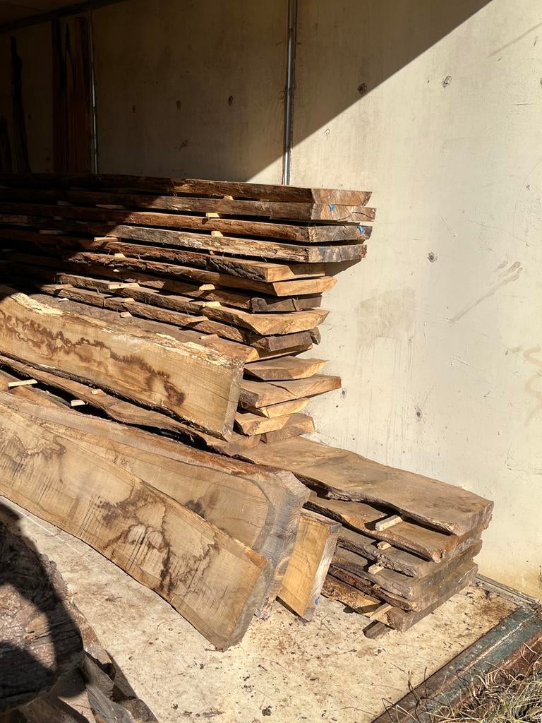 Eiken, Beuken & Taxus Schaaldelen Boomstamplanken Hout, Doe-het-zelf en Verbouw, Hout en Planken, Ophalen, 25 tot 50 mm, Eiken