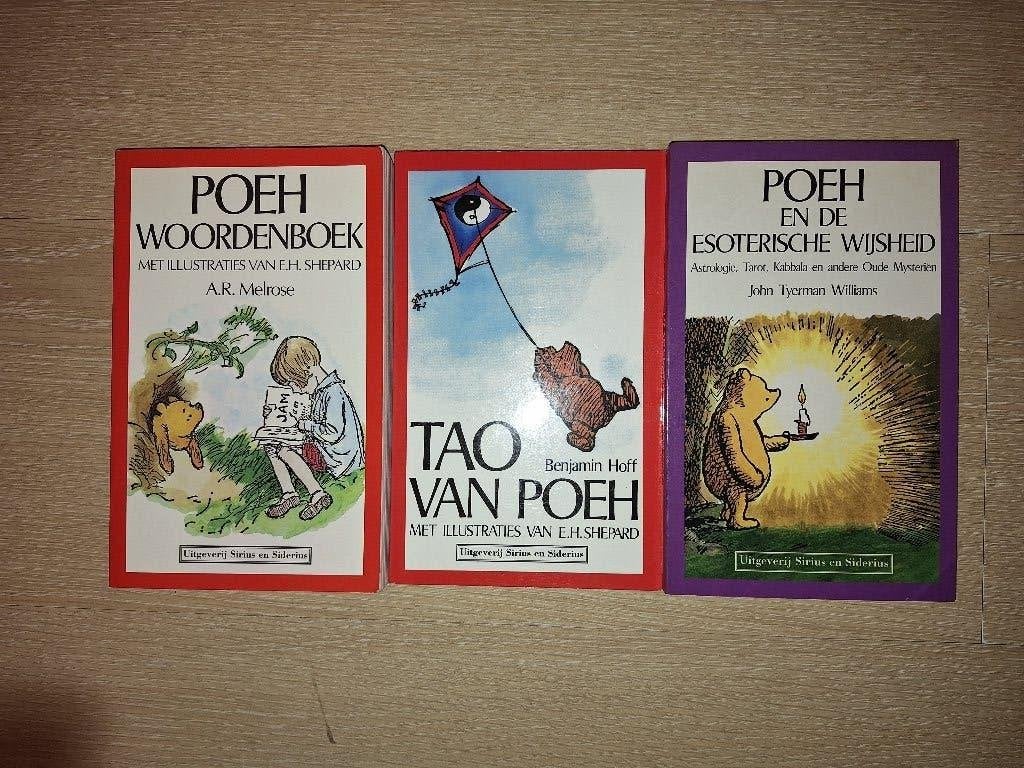 Poeh 3 boeken Tao - woordenboek - esoterische wijsheid - Teh, Boeken, Ophalen of Verzenden, Zo goed als nieuw, Spiritualiteit algemeen