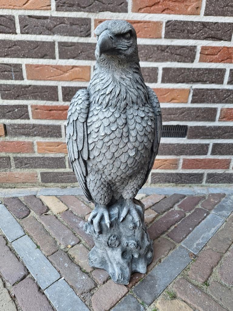 Betonnen Adelaar Beeld, Tuin en Terras, Tuinbeelden, Ophalen, Nieuw, Beton, Dierenbeeld