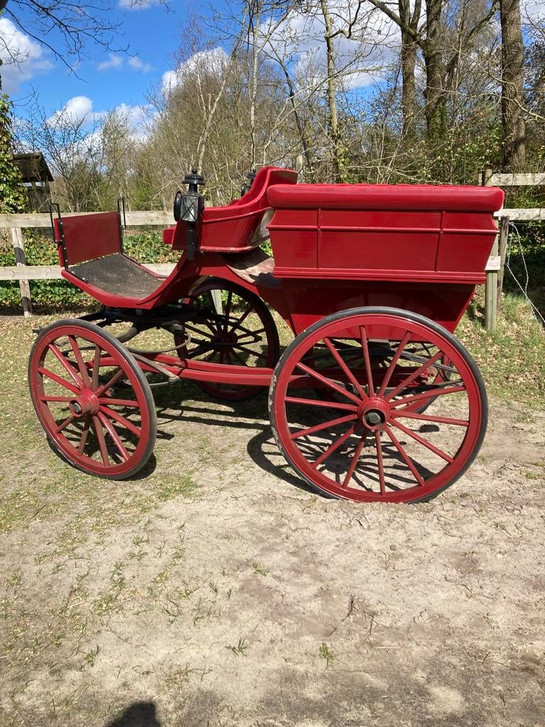 Mooie Deense wagonette, Dieren en Toebehoren, Ophalen, Gebruikt, Overige soorten