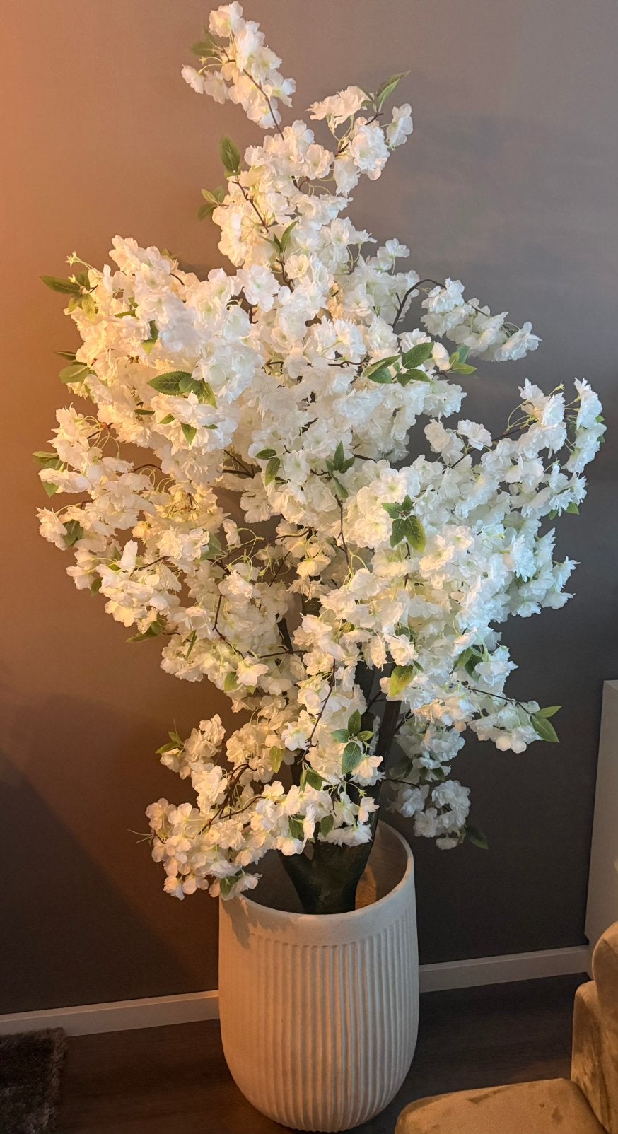 Mooie bloesemboom, Ophalen, Zo goed als nieuw
