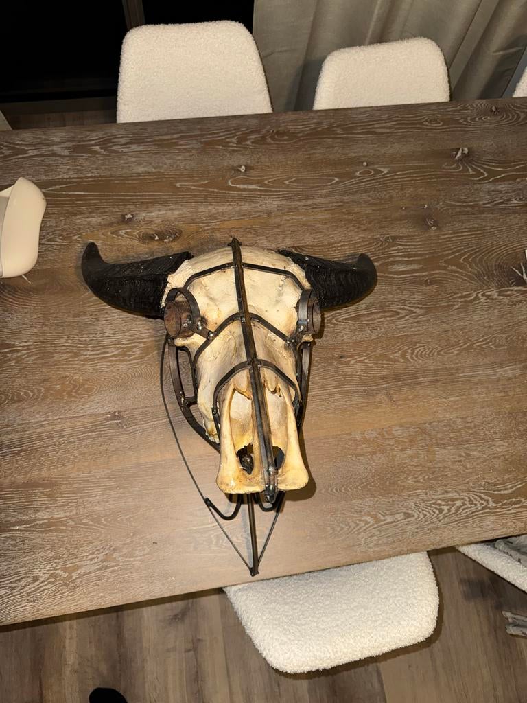 Buffelschedel beeld (kunst), Ophalen