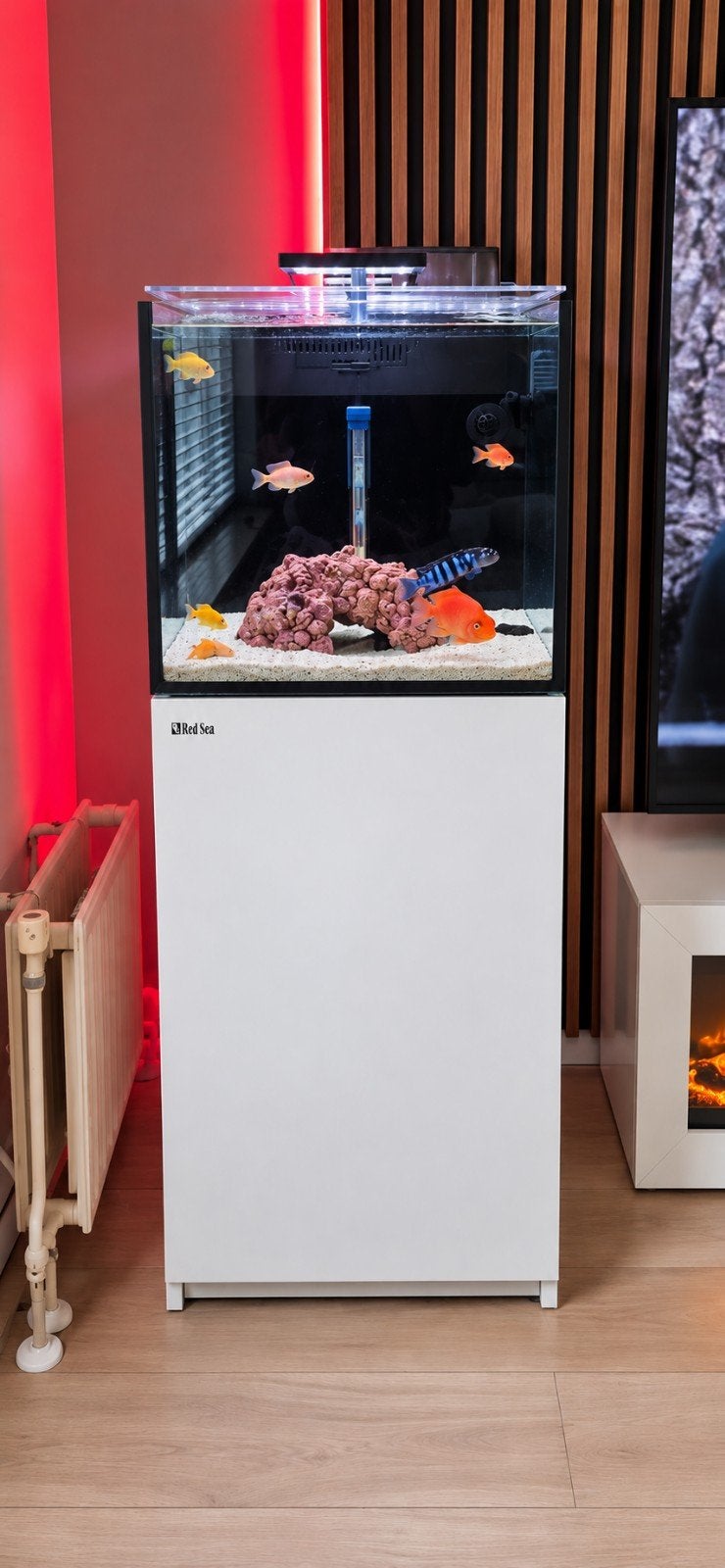 aquarium red sea, Ophalen of Verzenden, Zo goed als nieuw, Gevuld zoetwateraquarium