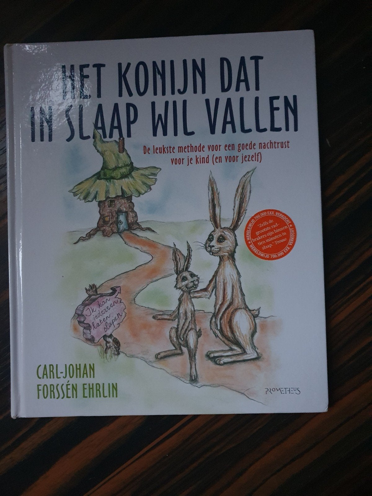 Het Konijn Dat In Slaap Wil Vallen - C-J Forssén Ehrli, Ophalen of Verzenden