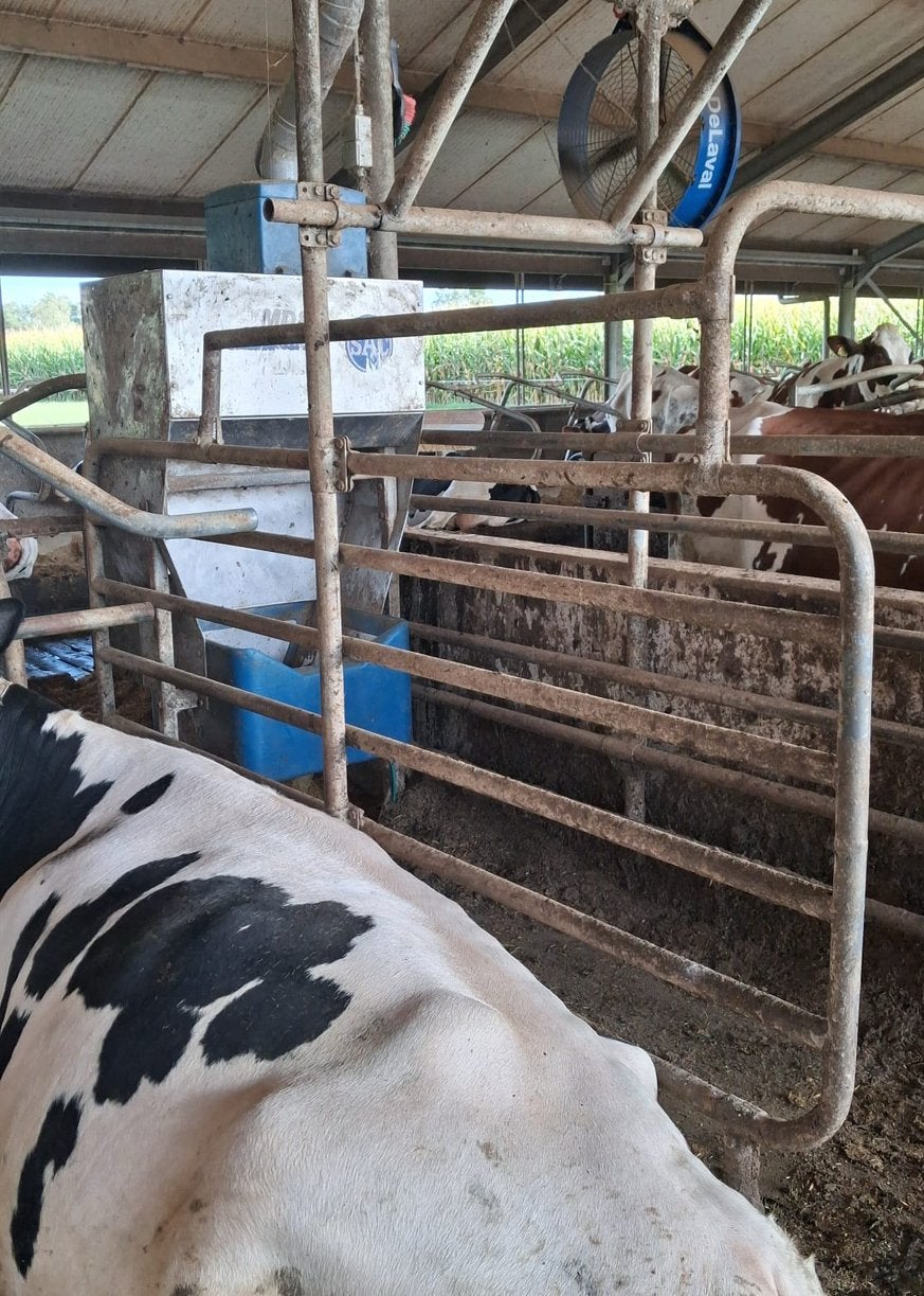 Krachtvoerbox met sluithek SAC, Dieren en Toebehoren