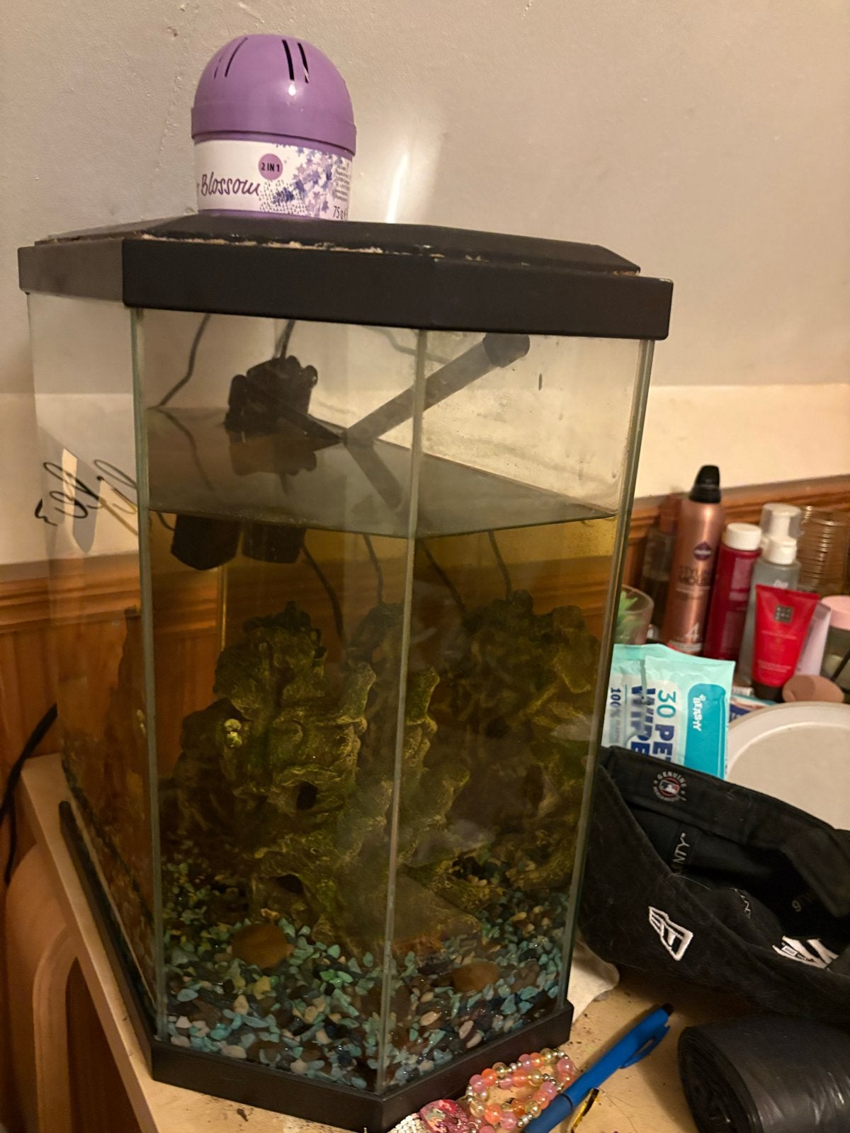 Gratis aquarium, Ophalen