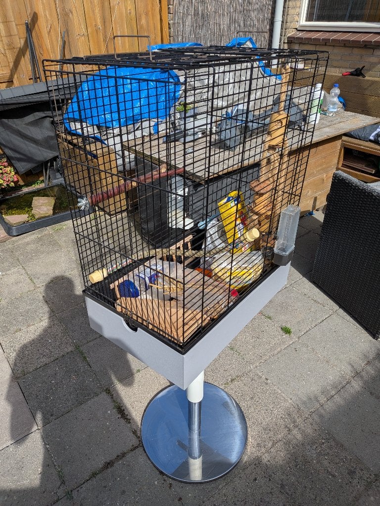Leuke staande vogelkooi, Dieren en Toebehoren, Ophalen, Nieuw, Metaal, Vogelkooi