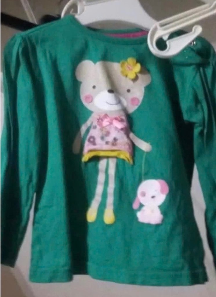 Shirt in maat 86, Kinderen en Baby's, Babykleding | Maat 86, Ophalen, Gebruikt, Meisje, Shirtje of Longsleeve