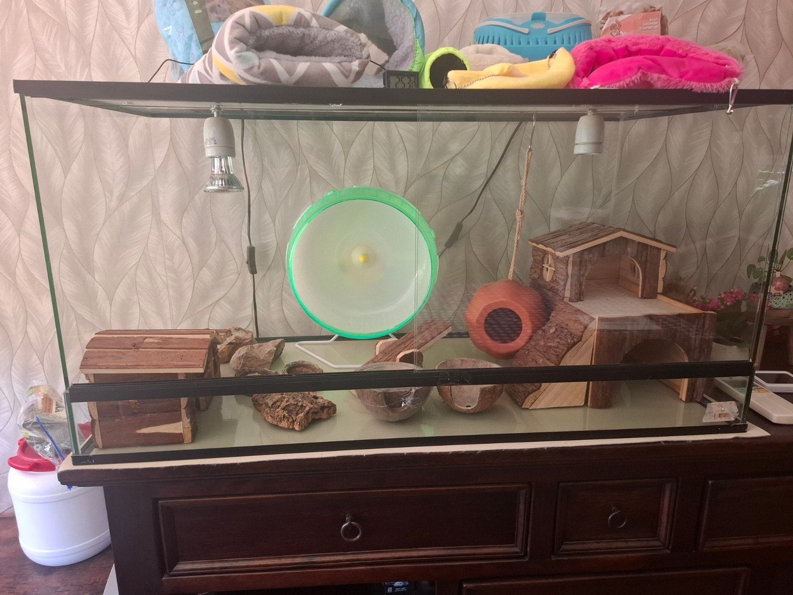 Knaagdierhok / terrarium met spullen, Zo goed als nieuw, Hok, 75 tot 110 cm, Ophalen