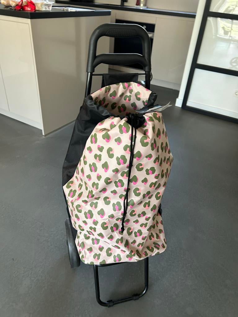 Boodschappen trolley, Ophalen of Verzenden