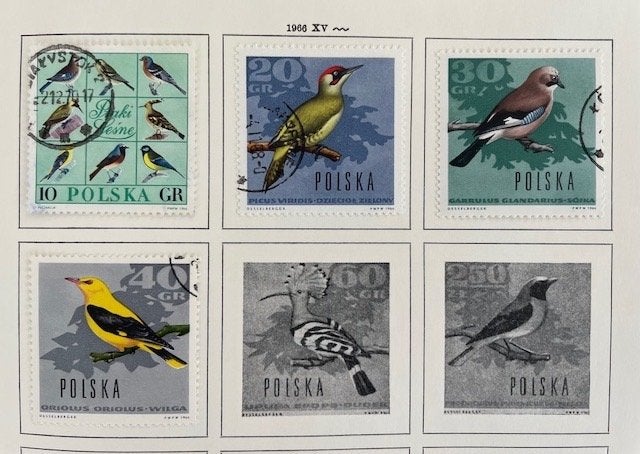 4x 1966 Vogels, Ophalen of Verzenden, Polen, Gestempeld