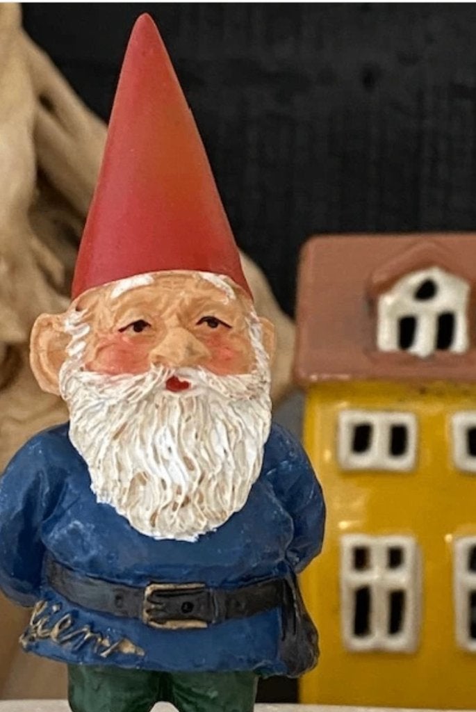 David de Kabouter, Ophalen of Verzenden, Zo goed als nieuw, Fantasy