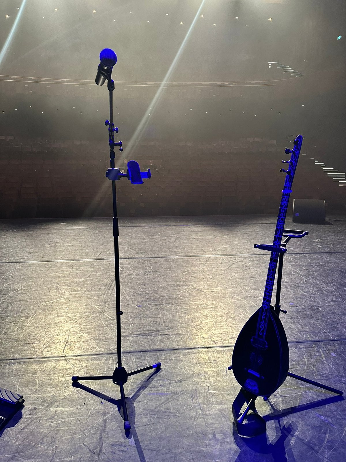 Professionele lange hals bağlama met Fishman Echolyzer, Ophalen, Zo goed als nieuw, Overige typen