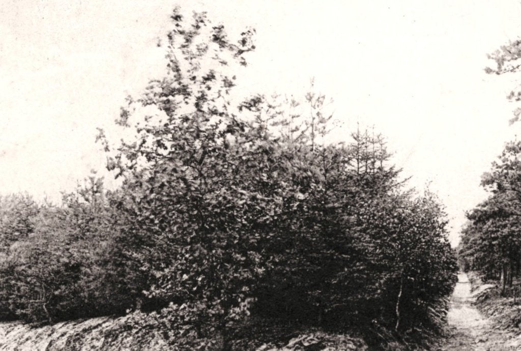 968177	Hollandsche Rading	laantje Kamphuis Utr Stadszending, Ophalen of Verzenden, 1920 tot 1940, Gelopen, Utrecht
