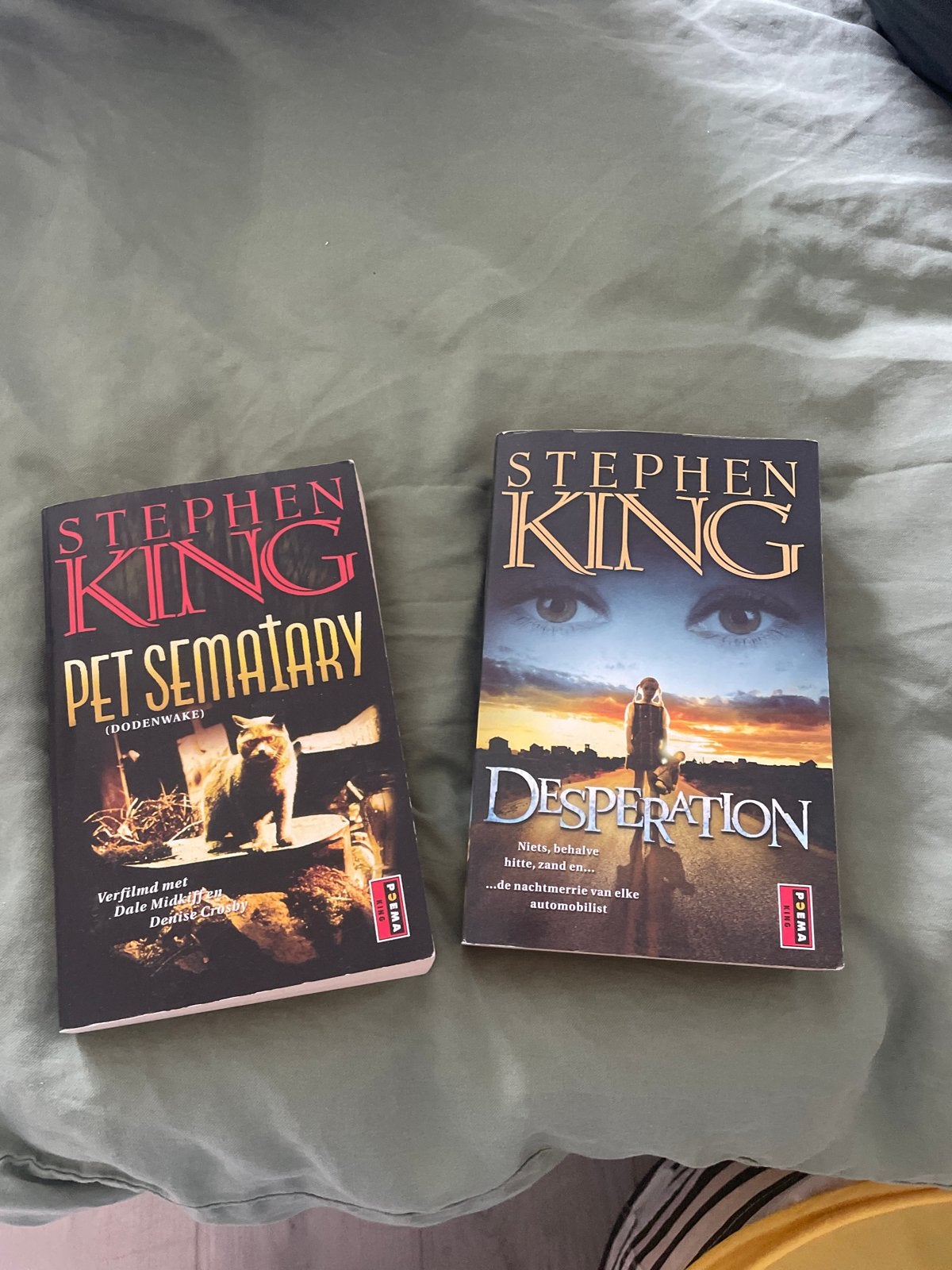 Stephen King: Pet Sematary & Desperation (2 boeken), Boeken, Ophalen of Verzenden, Gelezen