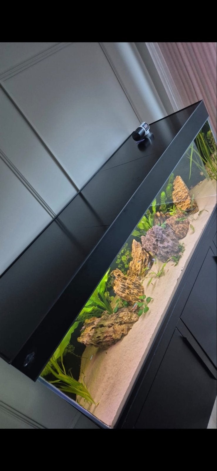 Aquarium 600 liter 180x60x60, Ophalen, Leeg aquarium