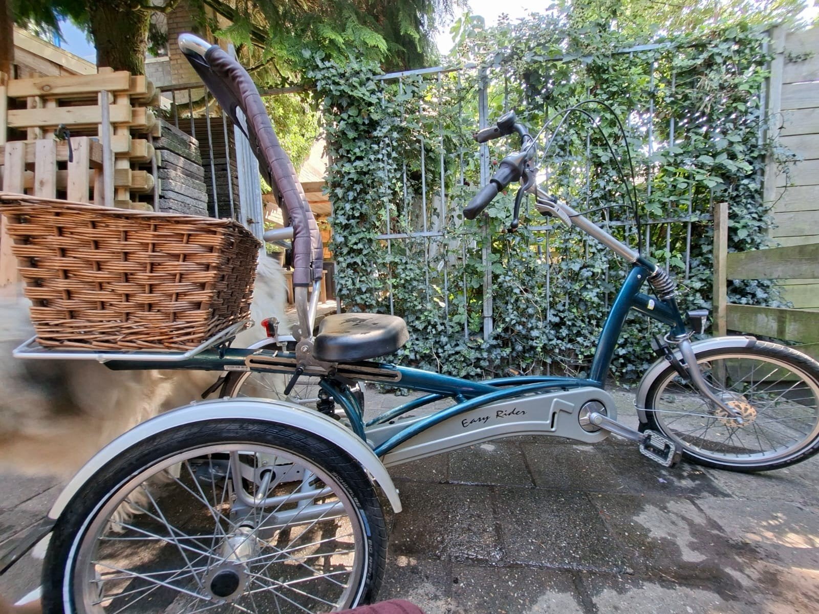 Van Raam Easy Rider driewieler, zo goed als nieuw, Fietsen en Brommers, Fietsen | Driewielfietsen, Ophalen
