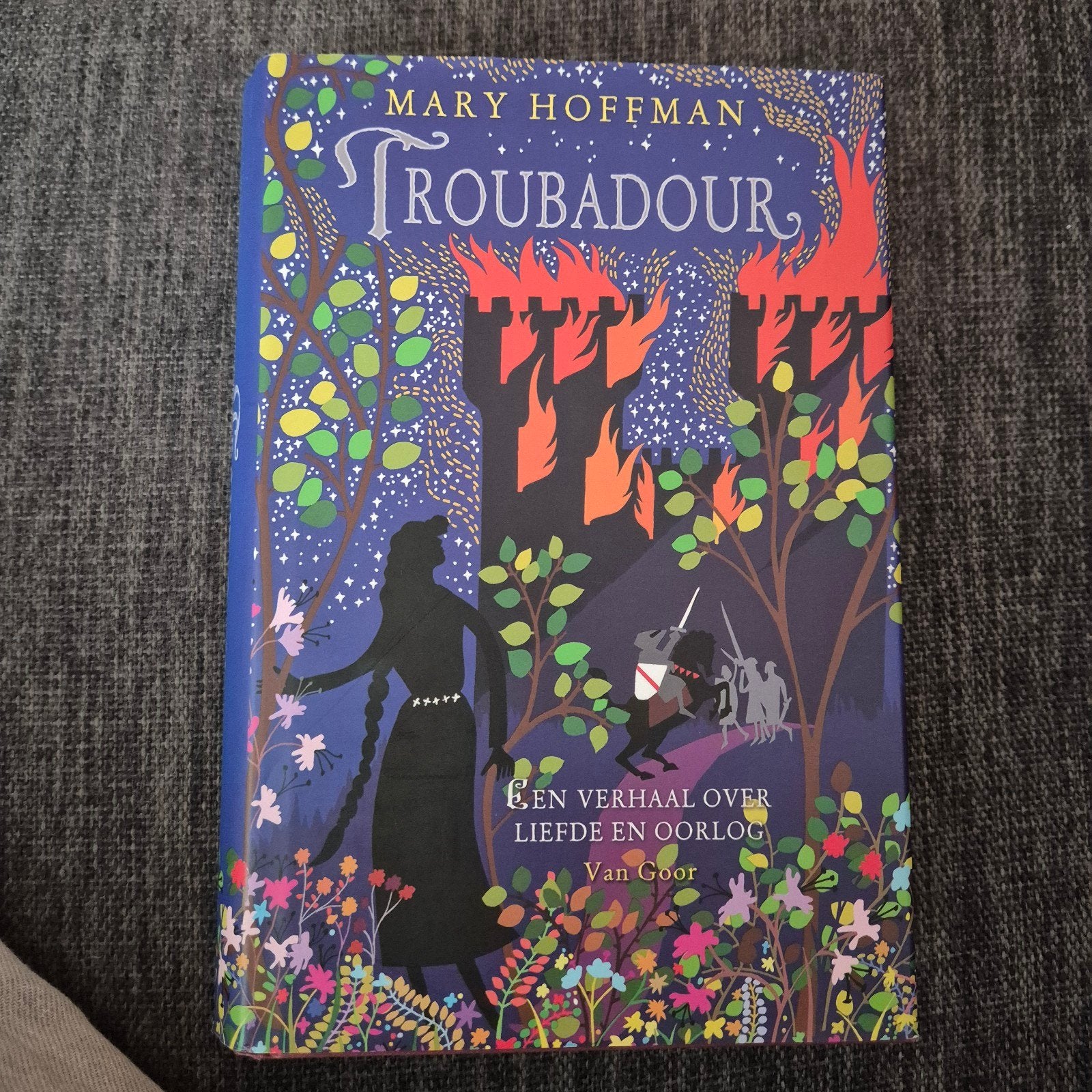 Troubadour - Mary Hoffman (Hardcover), Boeken, Ophalen of Verzenden, Zo goed als nieuw, Mary Hoffman