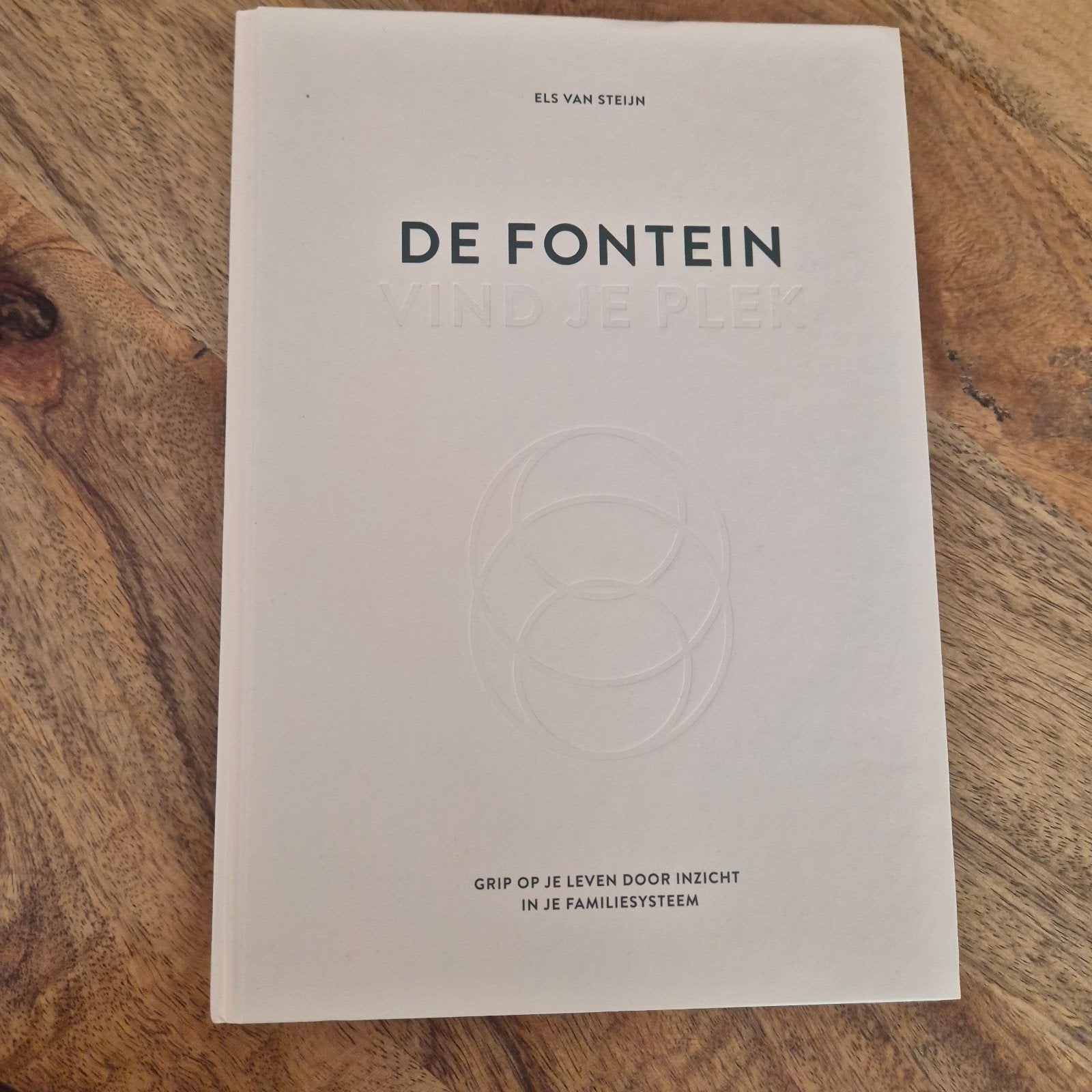De Fontein: Vind je plek - Els van Steijn, Boeken, Ophalen, Zo goed als nieuw, Els van Steijn, Nederland