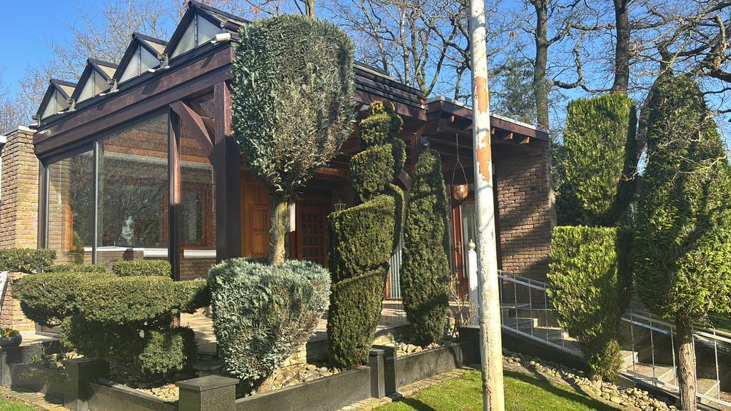 Drie bomen, circa 250 cm hoog, Ophalen, Bloeit niet, Overige soorten, Volle zon