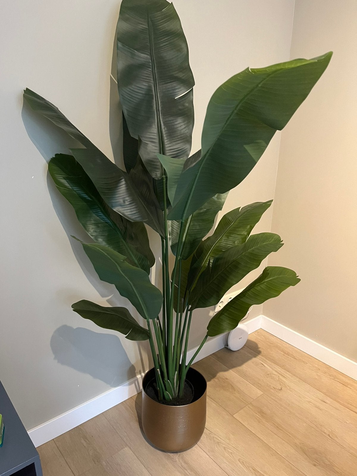 Kunst plant strelitzia nicolai 165cm, Ophalen, Halfschaduw, Minder dan 100 cm