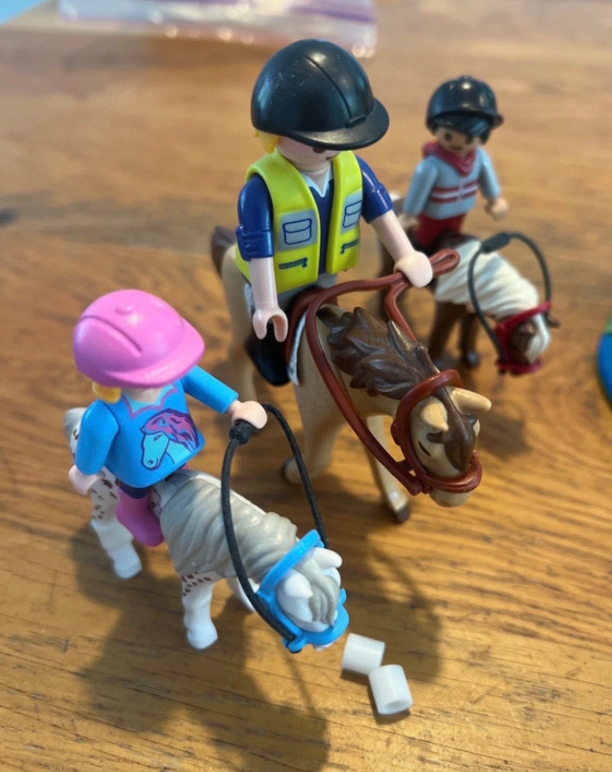 Playmobil Paarden en Natuur Set (6947), Gebruikt, Complete set, Ophalen of Verzenden, Figuren