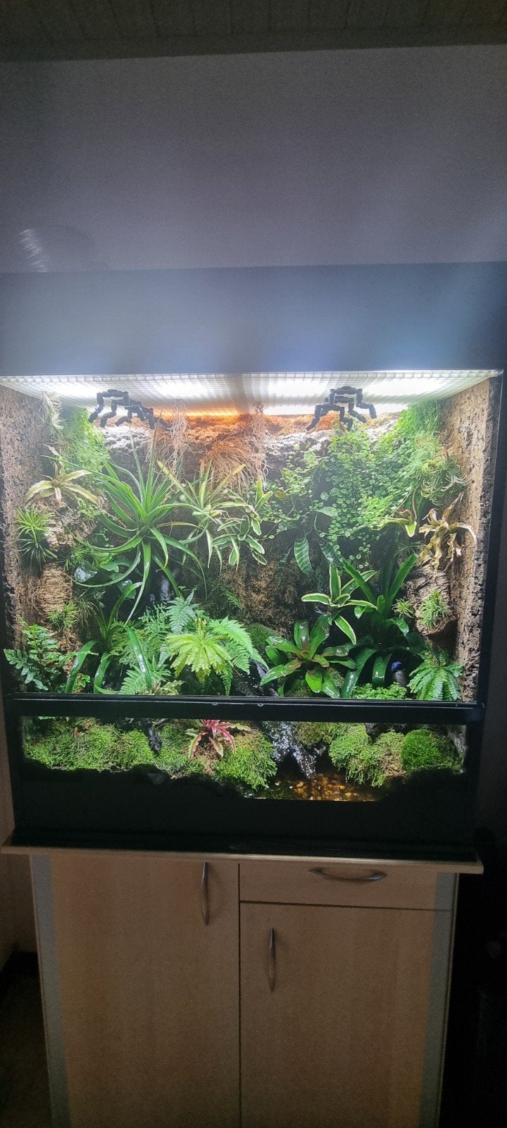 Paludarium 90h 90b 45d, Dieren en Toebehoren, Vissen | Aquaria en Toebehoren, Ophalen of Verzenden