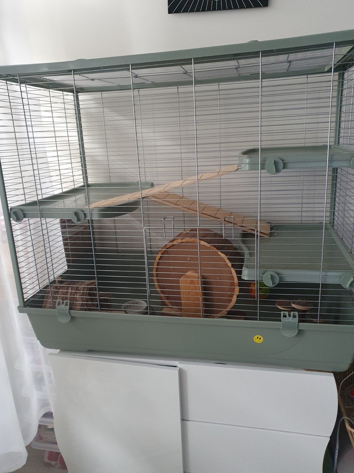 Hamsterkoi, Dieren en Toebehoren, Minder dan 60 cm, Kooi, Minder dan 75 cm, Ophalen of Verzenden