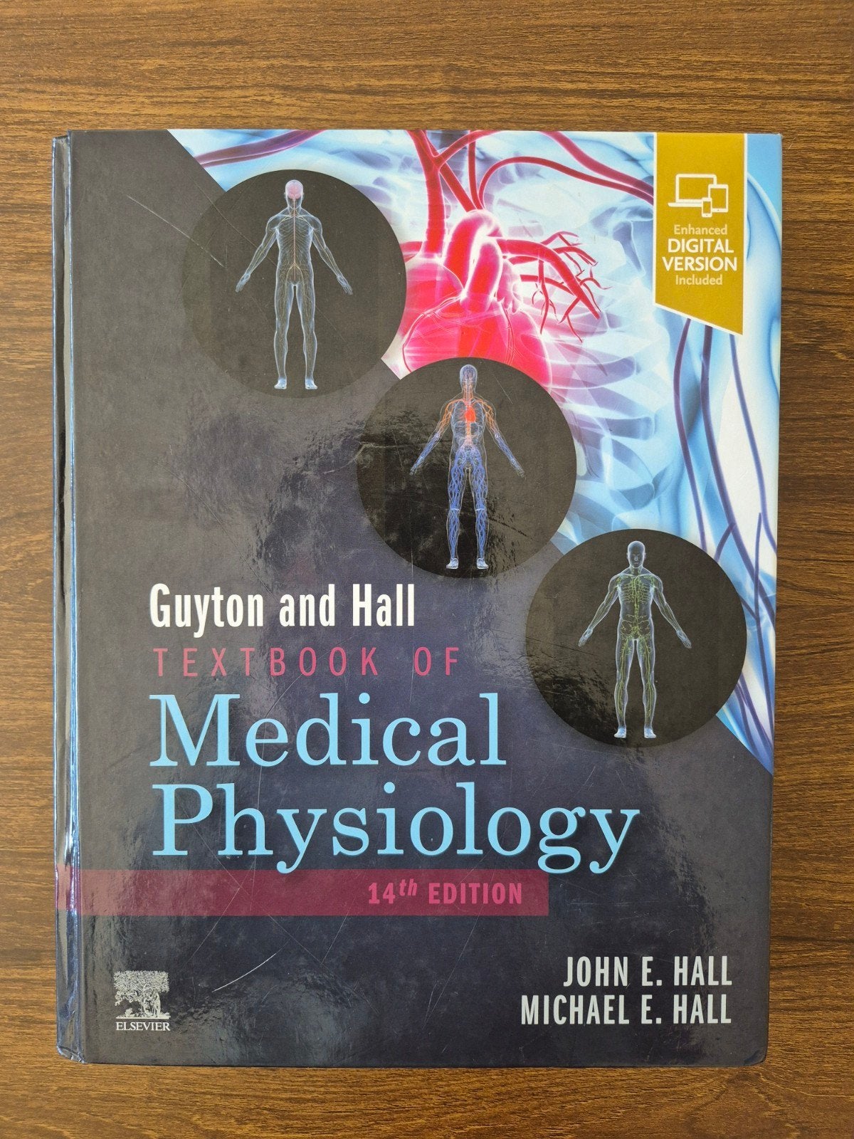 Guyton and Hall Textbook of Medical Physiology 14e, Boeken, John E. Hall, Michael E. Hall, Ophalen of Verzenden, Beta, WO