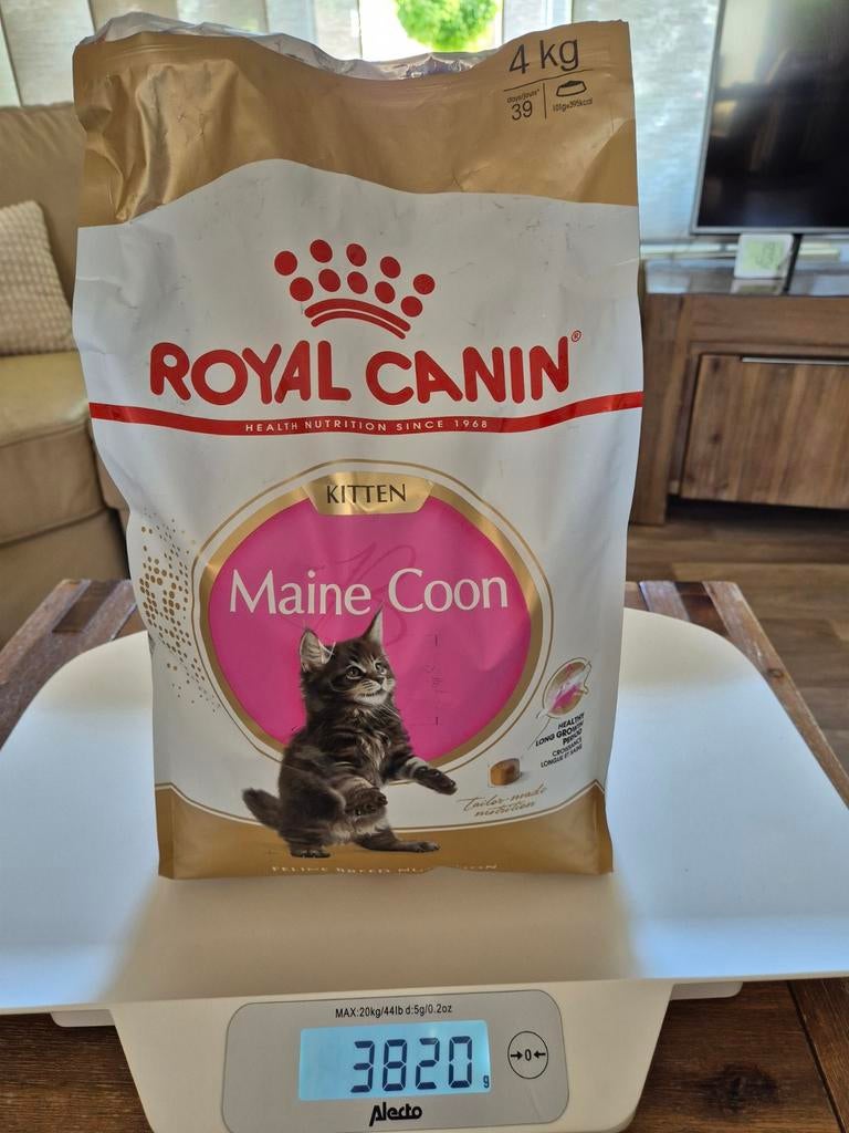Royal Canin Maine Coon Kitten, Ophalen of Verzenden, Kat