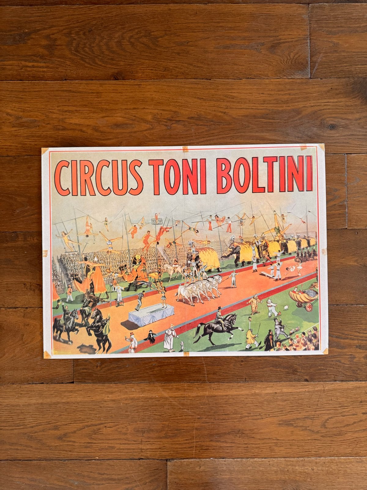 Vintage Circus Toni Boltini Poster op stevig karton, Gebruikt, Rechthoekig Liggend, Ophalen of Verzenden, A1 t/m A3