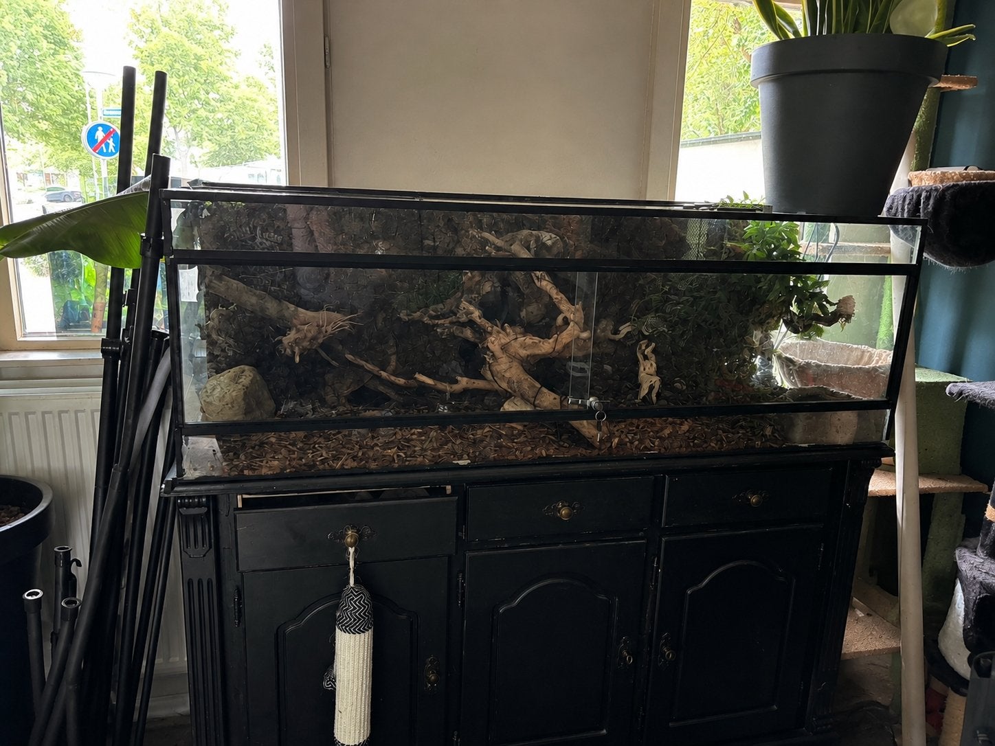 Terrarium150 lees beschrijving voor info ZSM WEG!!, Ophalen