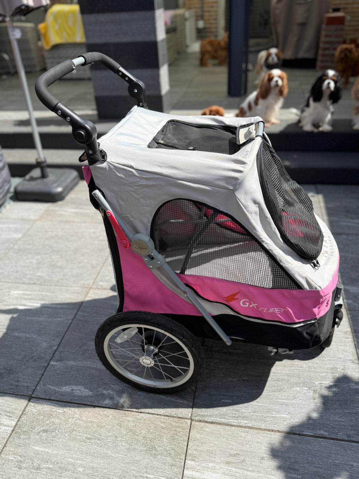 Honden Buggy, Ophalen, Gebruikt, Hondenbuggy