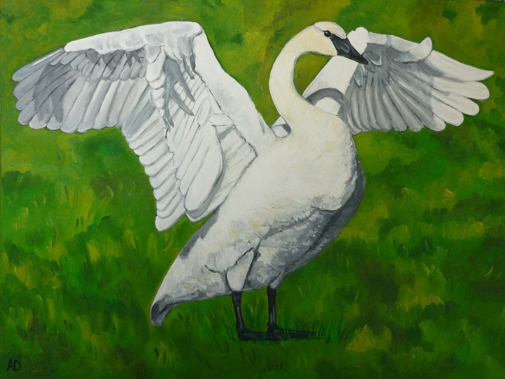 Zwaan, Handgeschilderd, Ophalen of Verzenden, Dieren, Olieverf