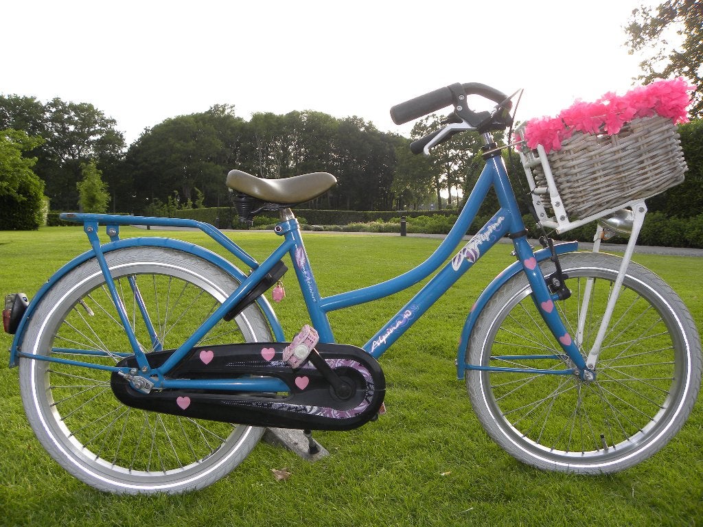 mooie 20'' alpina meisjesfiets, Ophalen, Terugtraprem, Gebruikt, Alpina