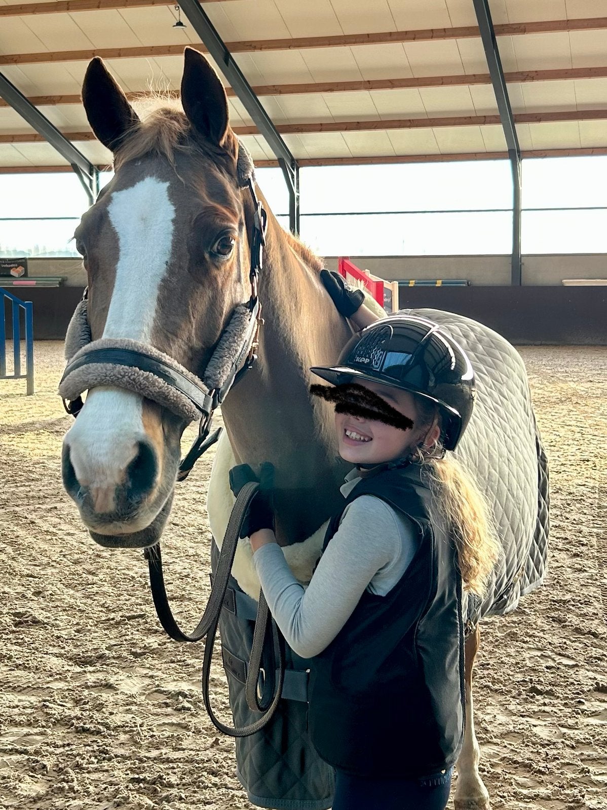Lieve E pony/ weidemaatje, Merrie, E pony (1.48m - 1.57m), Met stamboom, 11 jaar of ouder