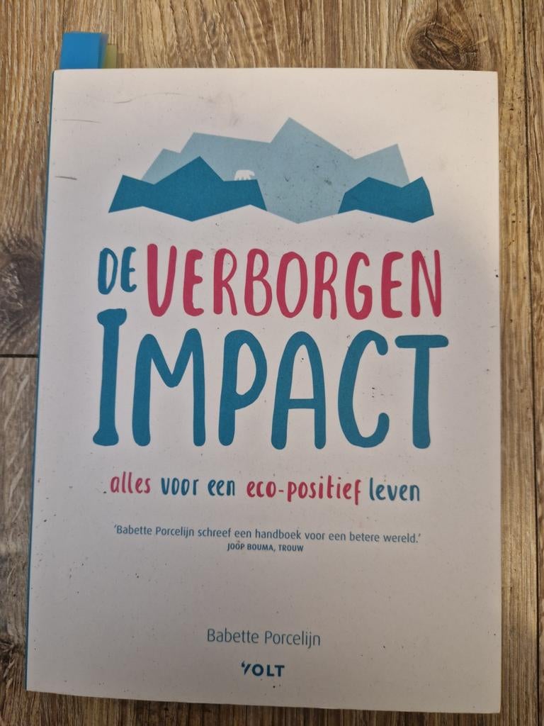 Babette Porcelijn - De verborgen impact, Ophalen of Verzenden, Zo goed als nieuw, Babette Porcelijn