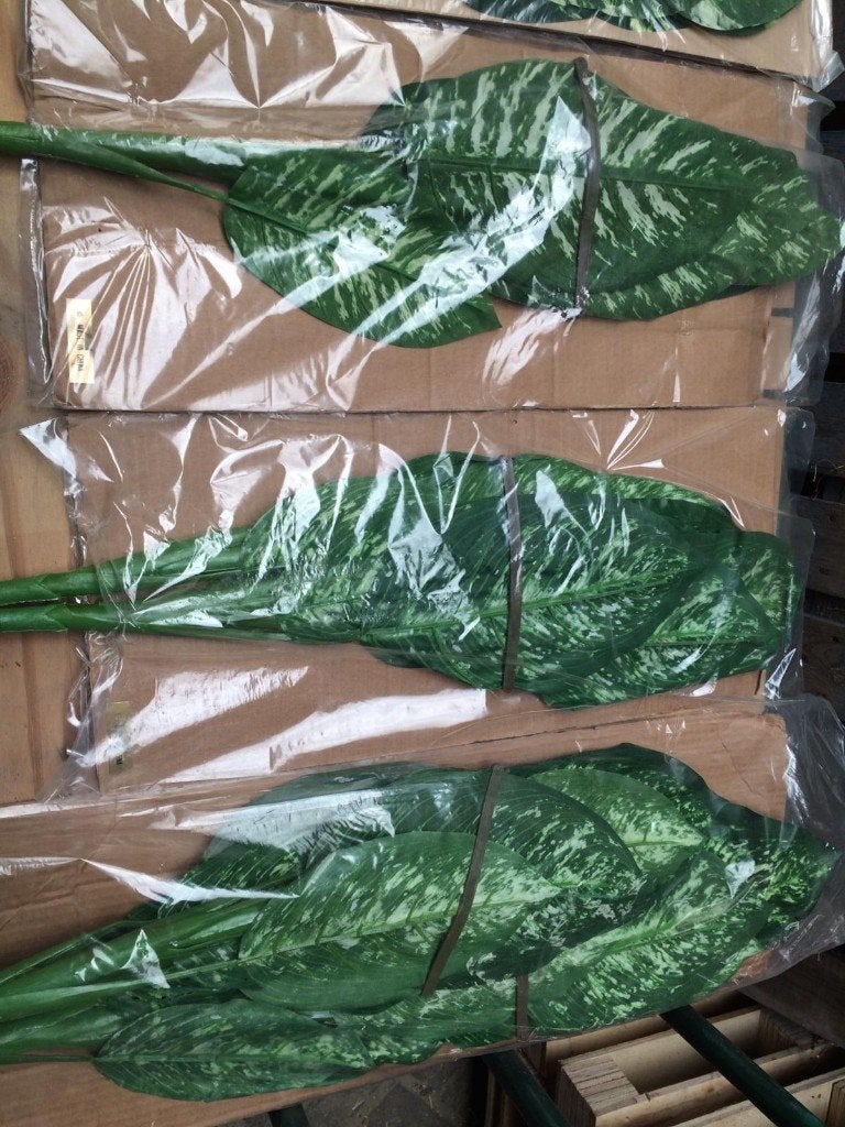Partij nieuw Kunst planten takken 3464 Stuks departijwinkel, Ophalen, Nieuw