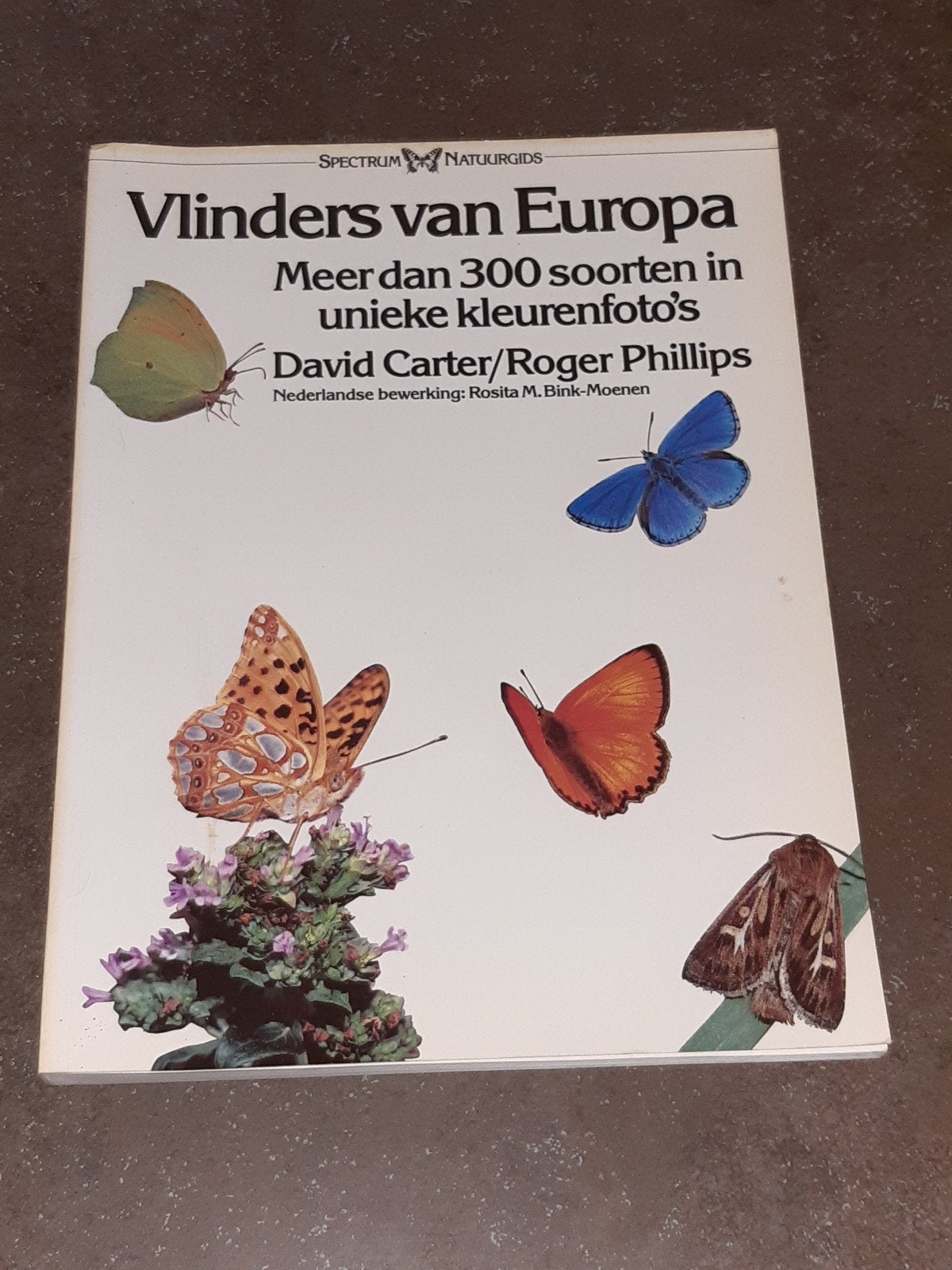 spectrum natuurgids vlinders van europa, Boeken, Dieren en Huisdieren, Ophalen of Verzenden, Zo goed als nieuw, Katten