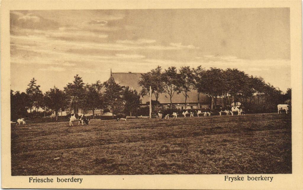 Friesche boerdery - Fryske boerkery - koeien - ongelopen, Verzenden, Voor 1920, Ongelopen, Noord-Brabant
