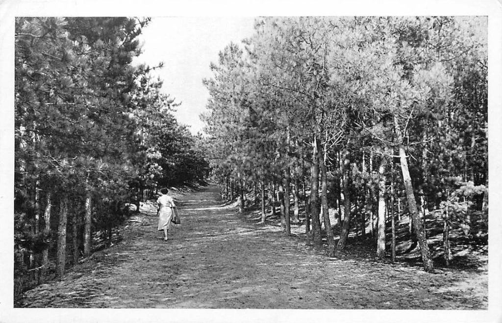 388-449-041 Lochem Buitencentrum Ruighenrode, Verzenden, Voor 1920, Gelderland