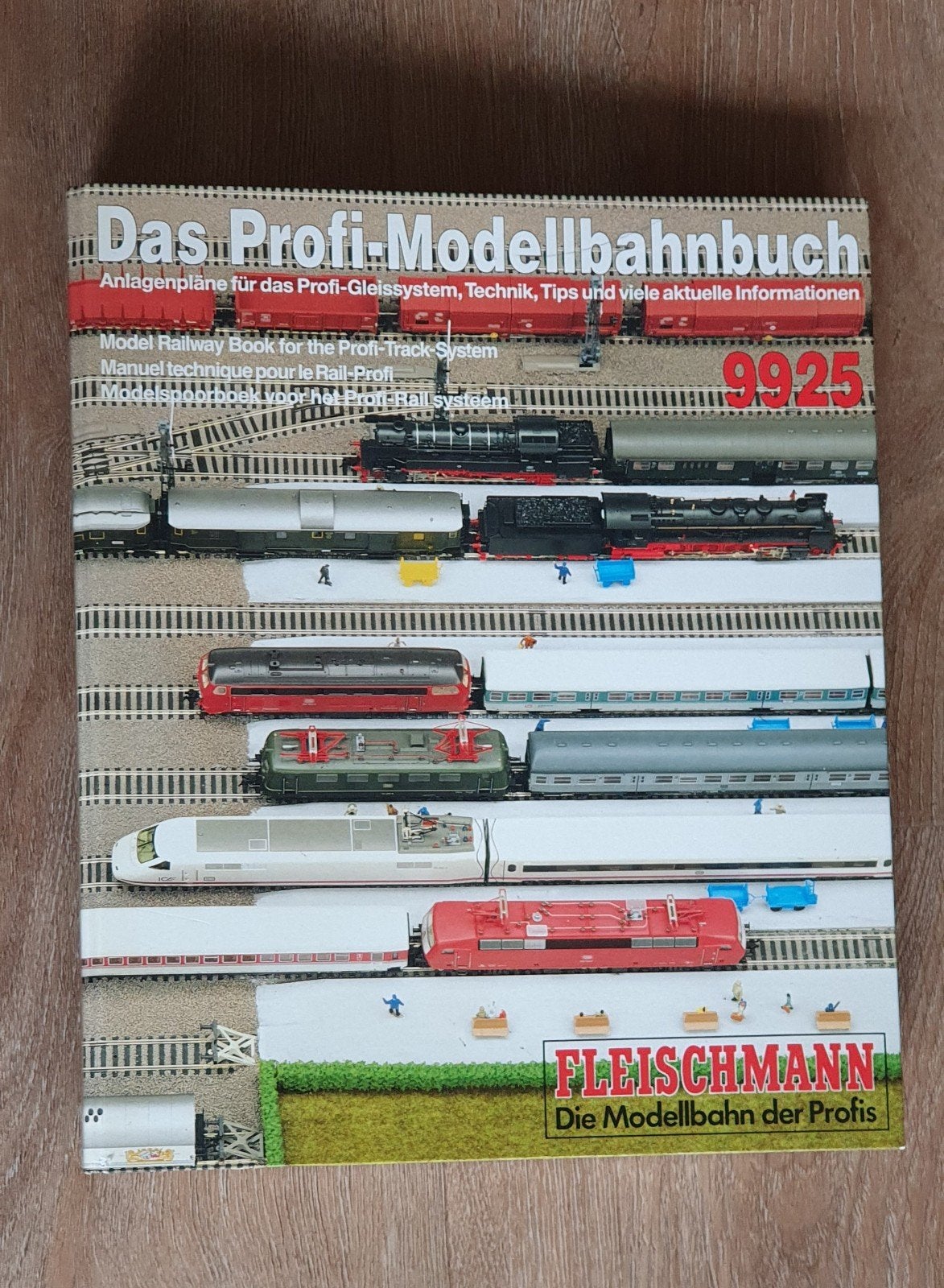 Fleischmann Profi-Modellbahnbuch 9925 - Modelspoorboek, Gelijkstroom, Fleischmann, Rails, Ophalen of Verzenden