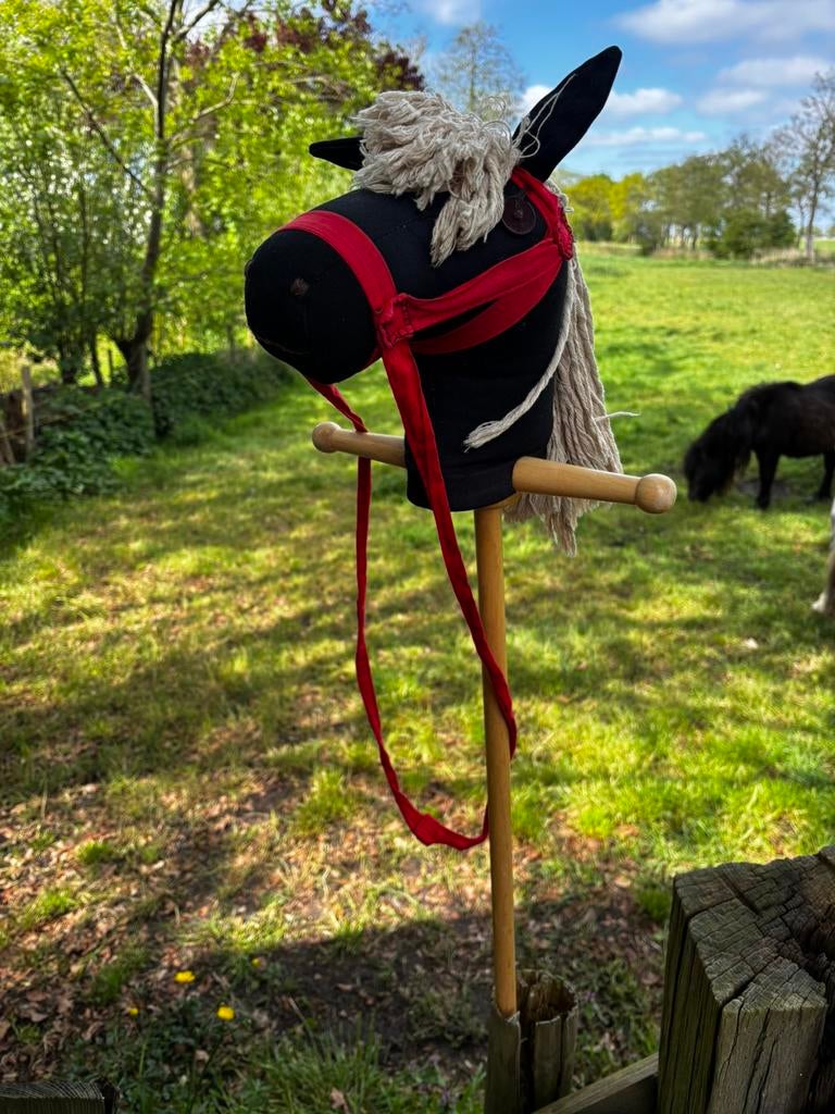 Hobbyhorse / stokpaardje, Ophalen, Gebruikt, Overige soorten