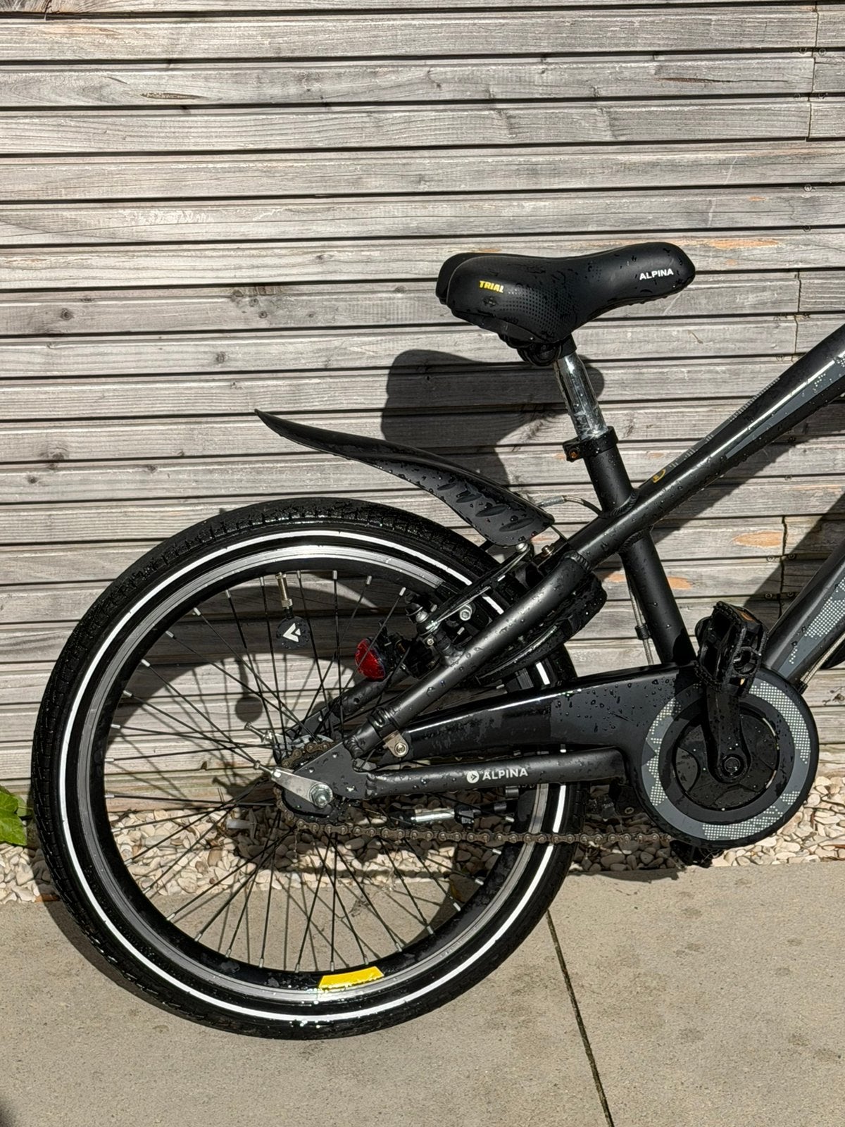 Foto 2 van Alpina Trial 20 inch jongensfiets – vering, slot en licht