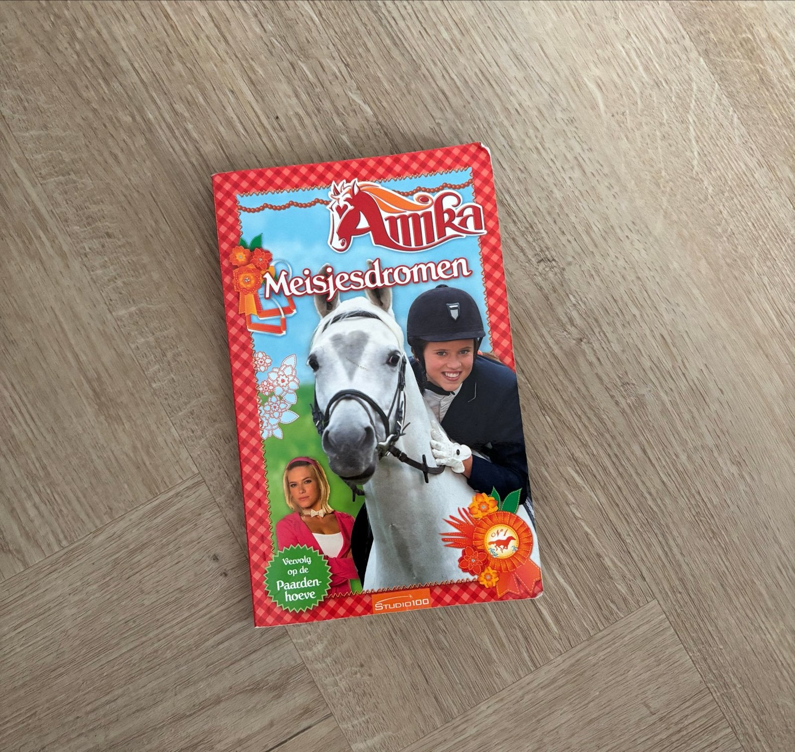 Amika Meisjesdromen - Studio 100 Boek, Ophalen of Verzenden, Gelezen, Fictie