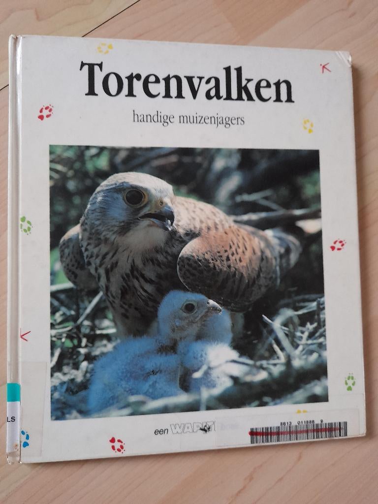 TORENVALKEN HANDIGE MUIZENJAGERS Nicolas van Ingen ea WAPITI, Boeken, Natuur, Ophalen of Verzenden, Gelezen, Natuur algemeen