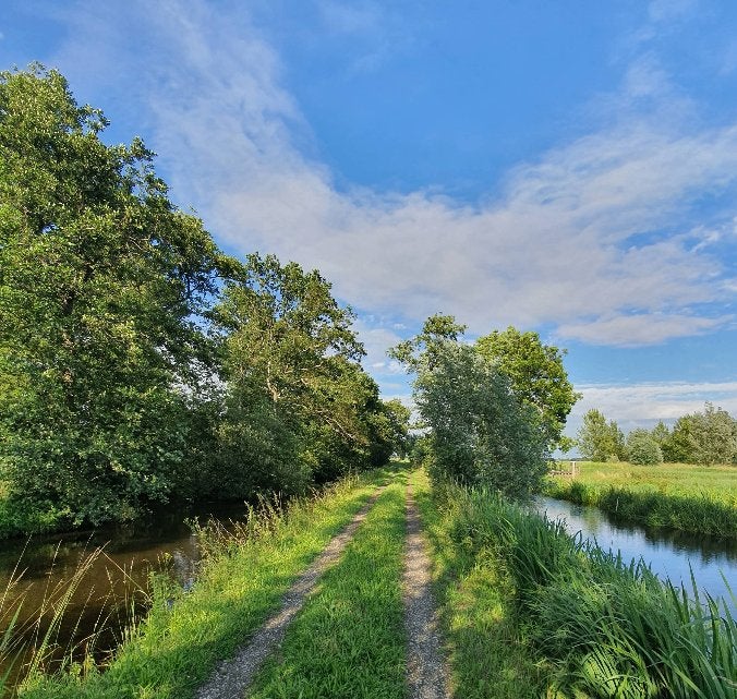 Blotevoetenwandeling in de natuur regio Zuid Holland