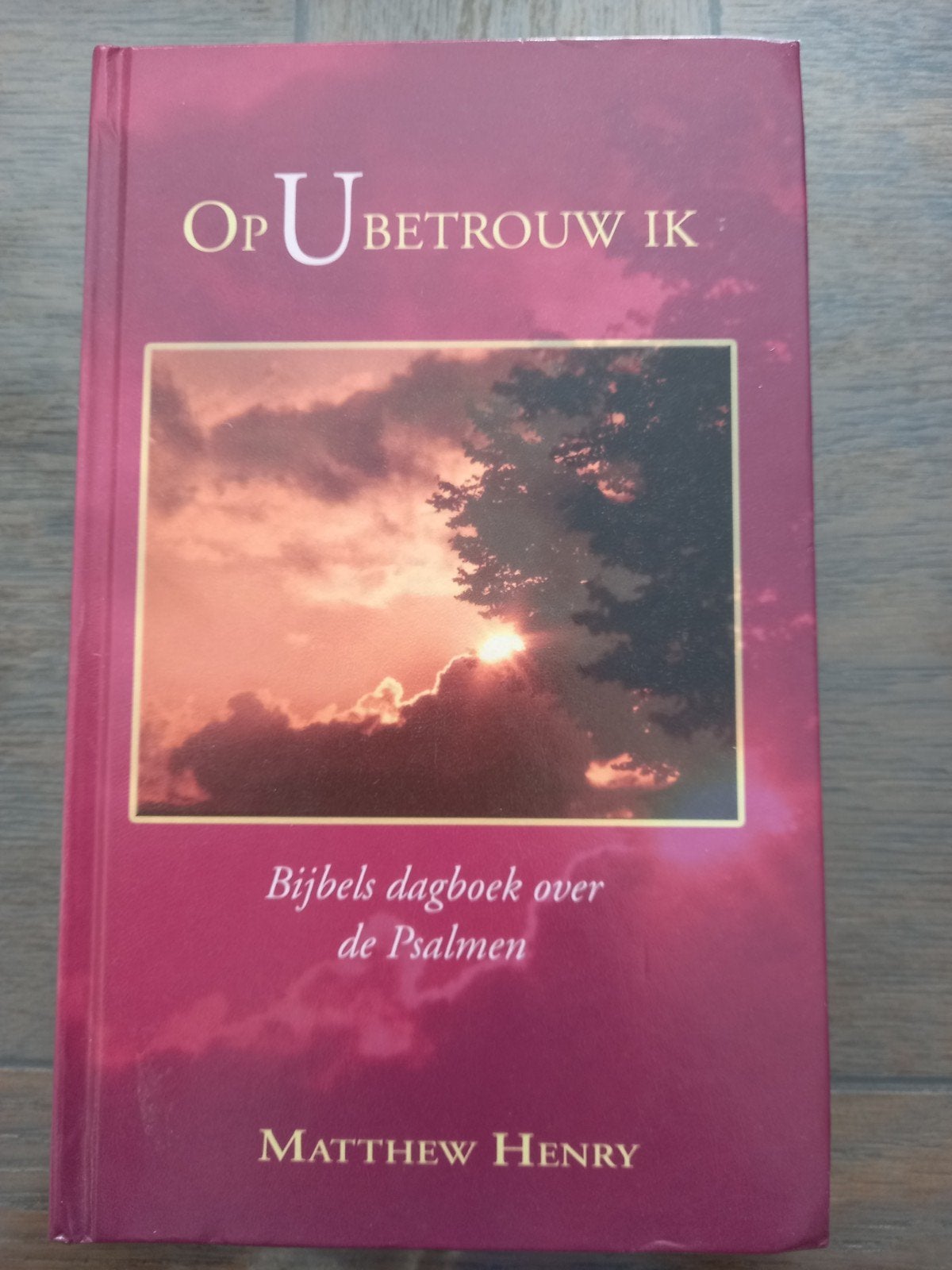 1 Matthew Henry - Op U betrouw ik, Ophalen of Verzenden, Zo goed als nieuw, Matthew Henry