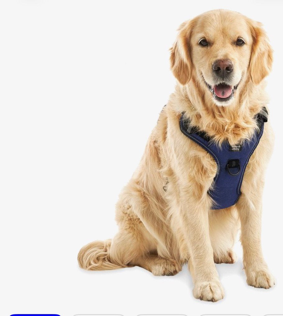 Jack en jacky y-vorm hondetuigje maat xl hondenharnas, Ophalen of Verzenden, Verlicht, Zo goed als nieuw