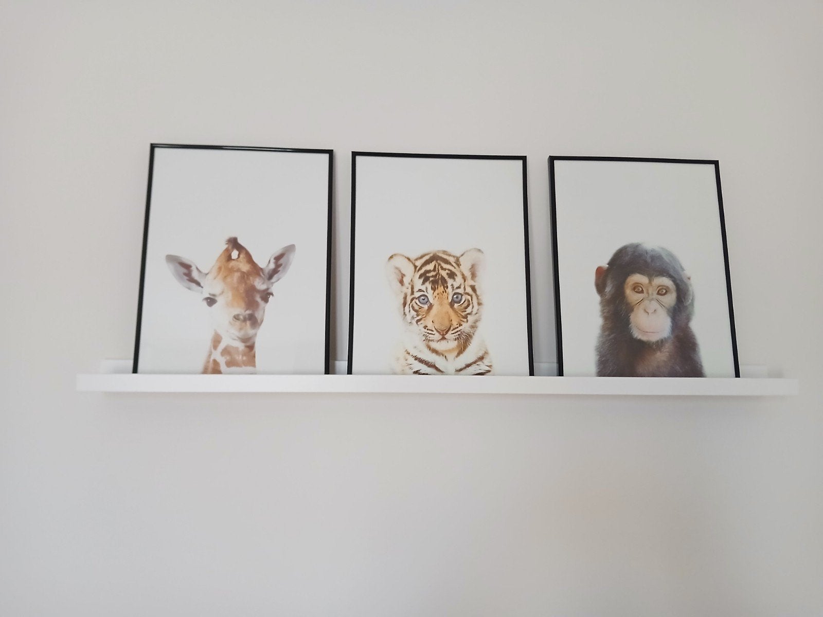 Set van 3 ingelijste dieren (aap, tijger, giraffe) 40x50 cm, Ophalen, Zo goed als nieuw